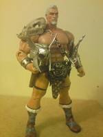 DC Warlord (Final Version) (DC Universe) Custom Action Figure