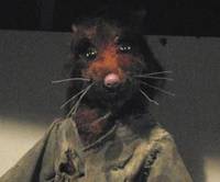 Master Splinter (Teenage Mutant Ninja Turtles) Custom Action Figure