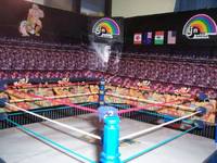 LJN Arena ( My Custom Arena !) (Wrestling) Custom Action Figure