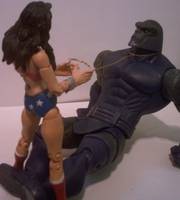 Wonder Woman (Wonder Woman) Custom Action Figure