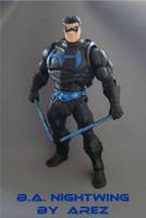 Motuc B.a. Nightwing (Masters of the Universe) Custom Action Figure