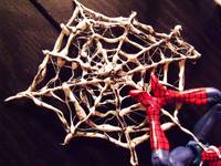 Custom Spider-Man Web (Marvel Universe) Custom Action Figure