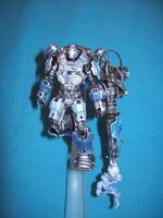 Cryo Legionnaire (Red Alert) Custom Action Figure