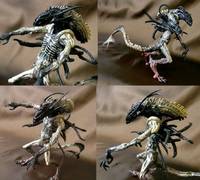 Alien Hybridz: Squidy Anatomica (Alien vs Predator) Custom Action Figure