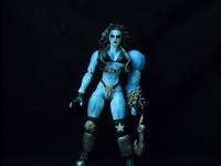 She Lobo (Legendary Comic Book Heroes) Custom Action Figure