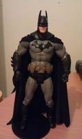 Batman - Batman: Arkham City (DC Universe) Custom Action Figure