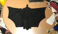 Batman - Batman: Arkham City (DC Universe) Custom Action Figure