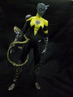 Sinestro Corps "Shak-Raa" (Green Lantern) Custom Action Figure