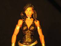 Donna Troy (DC Universe) Custom Action Figure