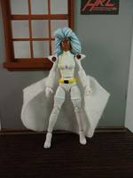 Storm with Typhoon Base (Marvel Universe) Custom Action Figure