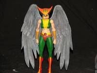 Hawkgirl (DC Universe) Custom Action Figure