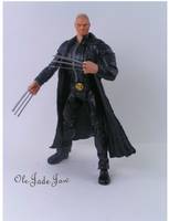 Wolverine:  the Best There Is (Marvel Legends) Custom Action Figure