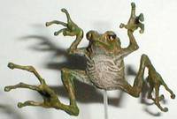 Toad (Final Fantasy) Custom Action Figure