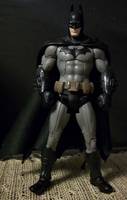 Arkham City Batman (Batman) Custom Action Figure
