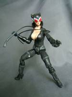 Arkham City Catwoman (Batman - Arkham City) Custom Action Figure