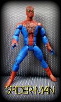Andrew Garfield: AMAZING SPIDER-MAN (Spider-Man - Movie) Custom Action Figure