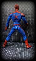 Andrew Garfield: AMAZING SPIDER-MAN (Spider-Man - Movie) Custom Action Figure