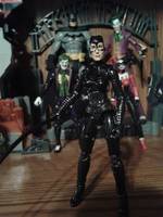 Catwoman (DC Infinite Heroes) Custom Action Figure