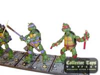 Teenage Mutant Ninja Turtles (Teenage Mutant Ninja Turtles) Custom Action Figure