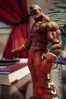 Deejay (Street Fighter) Custom Action Figure