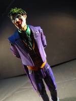 The Joker (Batman) Custom Action Figure