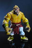 Broly Super Saiyan Ohzaru (Dragonball Z) Custom Action Figure