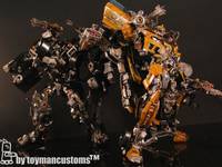 Rion Hide (Transformers) Custom Action Figure