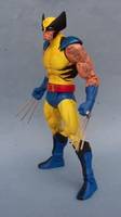Marvel Universe Classics Wolverine (DC Universe) Custom Action Figure