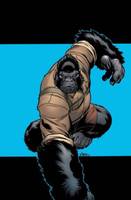 Gorilla-Man (Agents of Atlas) (Marvel) Custom Action Figure