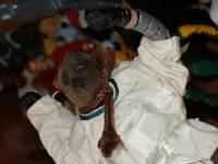 Scarecrow (DC Universe) Custom Action Figure