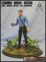 Dr Mccoy (Star Trek) Custom Action Figure
