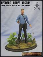 Dr Mccoy (Star Trek) Custom Action Figure