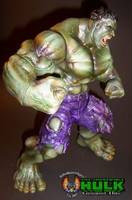 Hulk (Hulk - Movie) Custom Action Figure