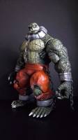 Killer Croc (Batman - Arkham City) Custom Action Figure
