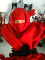 Custom Ufc Red Ninja (Martial Arts) Custom Action Figure