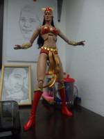 Darna (Misc) Custom Action Figure