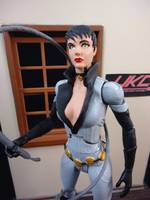 Catwoman (Animated Style) (Batman - Arkham City) Custom Action Figure