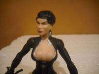 Catwoman Unmasked (DC Universe) Custom Action Figure