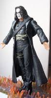 The Crow (Crow) Custom Action Figure