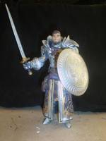 Allistair ( Dragon Age) (Fantasy) Custom Action Figure