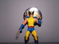 Wolverine (DC Universe) Custom Action Figure