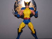 Wolverine (DC Universe) Custom Action Figure