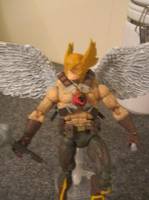 Rann Thannagar War Hawkman (DC Universe) Custom Action Figure