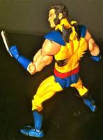 Marvel Universe Classics Wolverine- Round 2 (DC Universe) Custom Action Figure