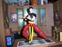 Shang Chi (Marvel Legends) Custom Action Figure