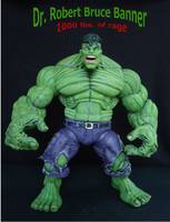 HULK  Dr. Robert Bruce Banner: 1000 Lbs. of Rage (Incredible Hulk) Custom Action Figure
