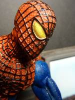 The Amazing Spiderman (Marvel Select) Custom Action Figure
