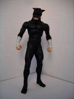 Wildcat Alex Ross JSA Version (DC Direct) Custom Action Figure