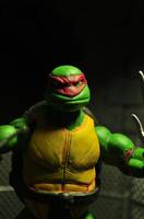 Raphael (Teenage Mutant Ninja Turtles) Custom Action Figure