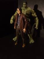 Dr Bruce Banner Avengers Movie (Avengers) Custom Action Figure